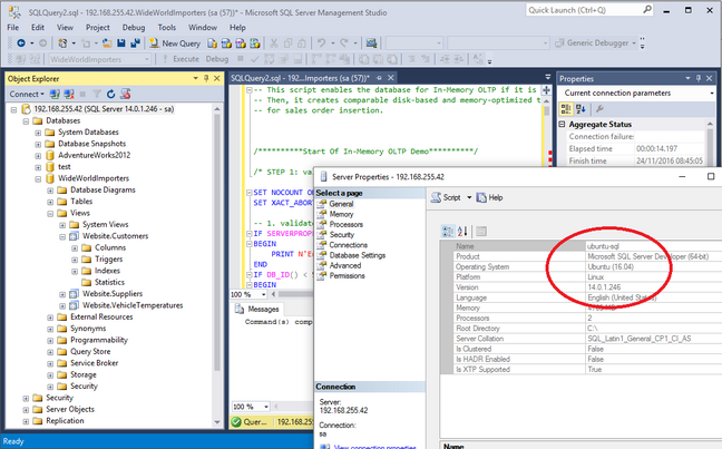 SQL Server Management Studio connected to a Linux instance