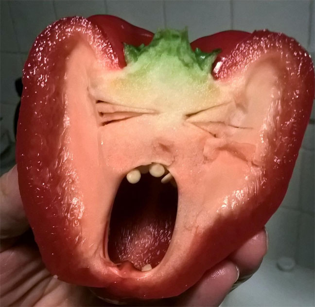 Trump Pepper, photo by Janet Ayers
