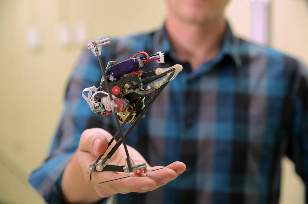 photo of Robotics is coming on leaps and bounds – literally: Bushbaby bot most vertically agile yet image