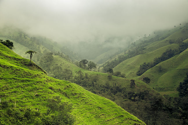 darien gap - colombian jungle