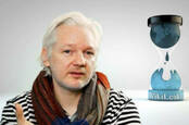 Assange