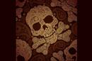 Paisley skull