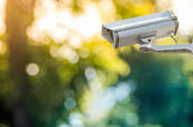 CCTV camera trained on a garden. Photo by Shutterstock