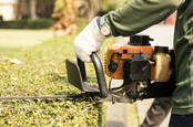 Trimming hedges