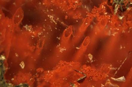 haematite