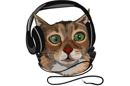 Cat in headphones. Photo by By Oksana Ashurova/shutterstock