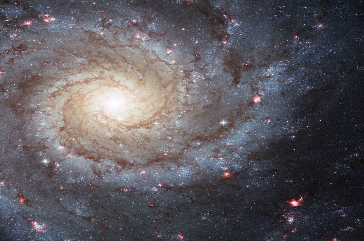Dark matter drought hits older galaxies: Boffins are, rightly, baffled