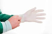 Hand pulls on a latex rubber glove (disposable). Photo by shutterstock