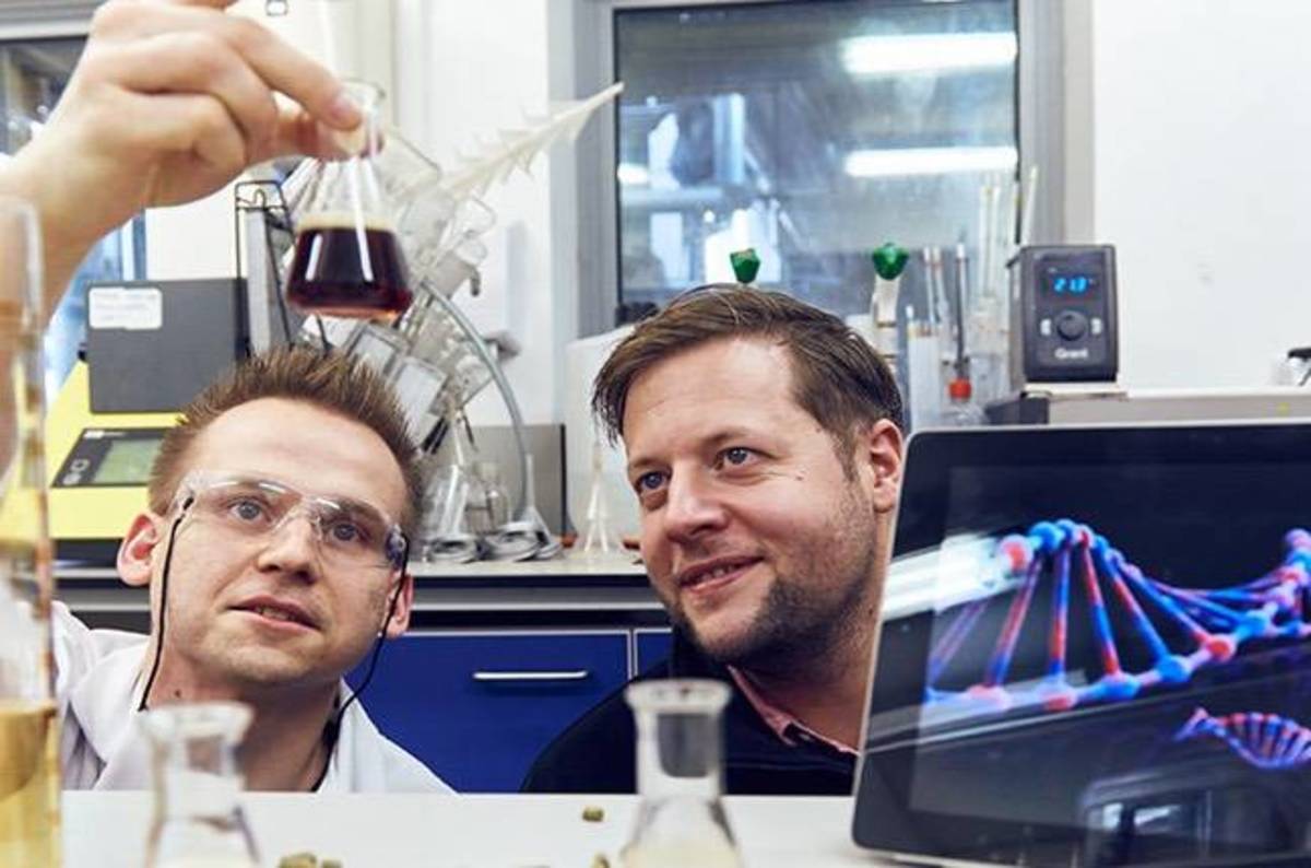 photo of DNA-bothering eggheads brew beer you were literally born to like image