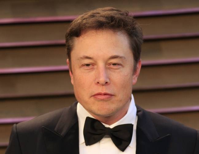 Elon Musk wants to take Twitter public again 'within 3 years'
