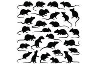 Rat sillhouettes - Shutterstock