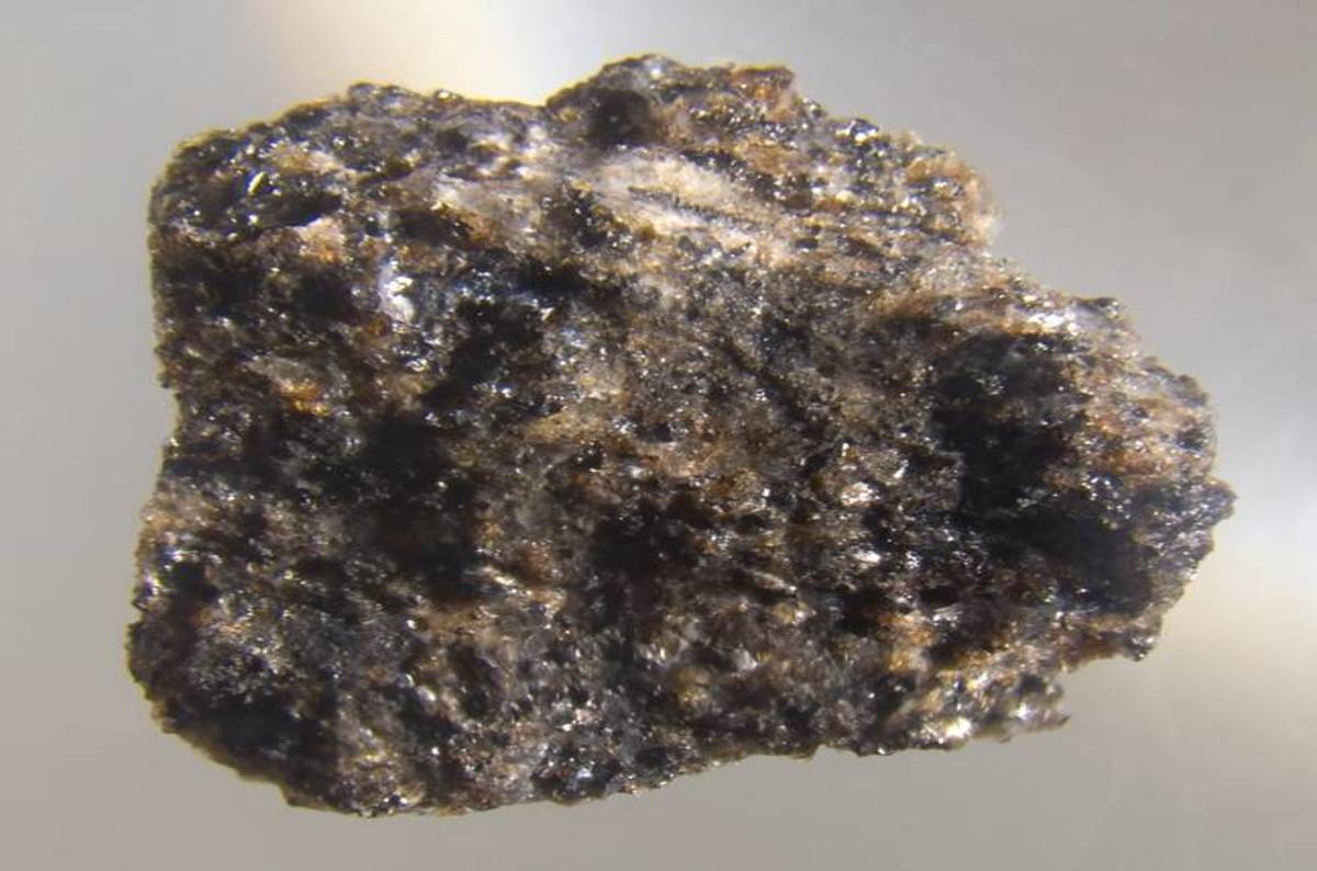 Nasa Agent Faces Heat For Degrading Moon Rock Sting During Which Grandmother Wet Herself • The 