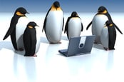 Penguins surround laptop. Pic by Shutterstock