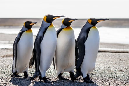 March of the penguins photo via Shutterstock