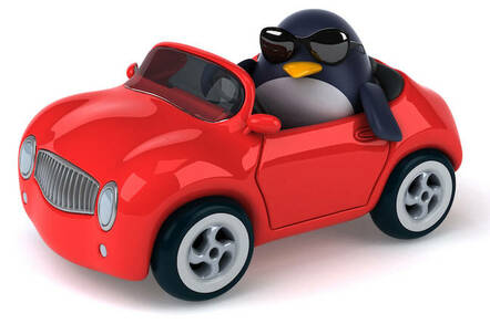 Penguin in a car