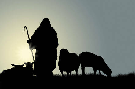 Shepherd and sheep - Pic: Shutterstock