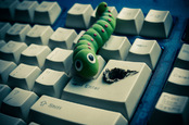Computer worm photo via Shutterstock