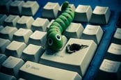Computer worm photo via Shutterstock