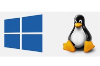 Windows and Linux logos 
