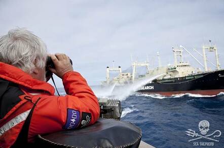 Japanese Sat Tech Sinks Sea Shepherd Anti Whaling Activists