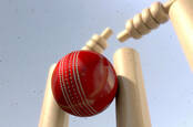 Cricket ball hitting stumps