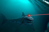 Sharks with frikkin lasers. 