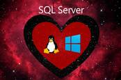 SQL Server 2017 runs on Windows and Linux