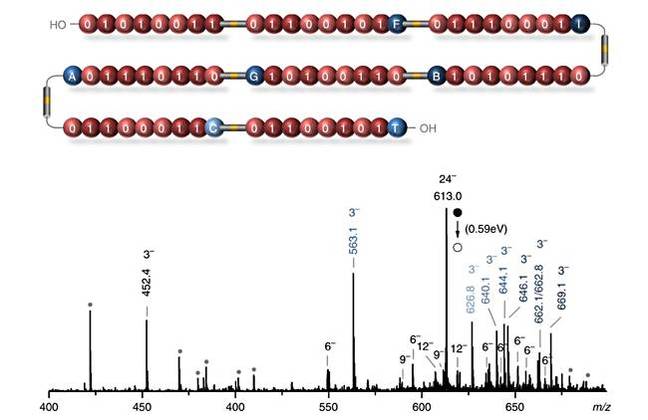 Polymer_Storage_spectra