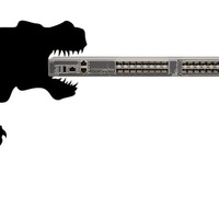 Cisco MDS 9132T fabric switch with dinosaur