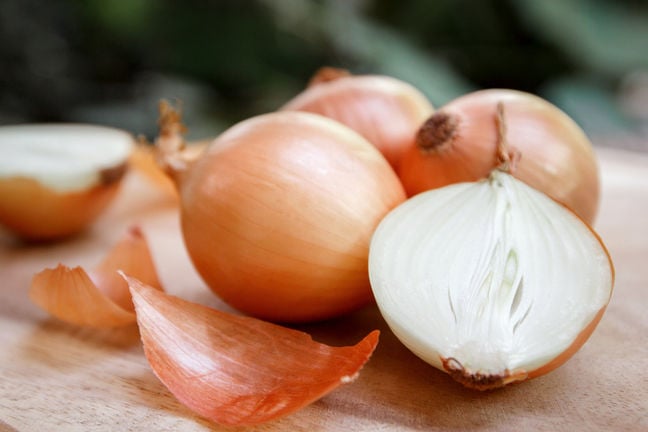 Tor tweaks onion routing software to fend off DDoS attacks • The Register