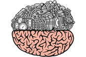 Half mechanical brain