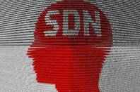 SDN software-defined networking