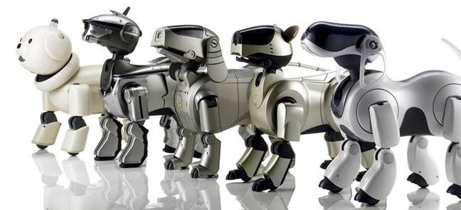 Earlier models of the Sony Aibo: enough to stroke terror into the heart of any postman