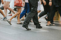 Walking Legs by Shutterstock