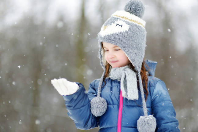 photo of Snowflake Q3 losses almost double, stock market flinches, then reckons: Nah, it's fine image