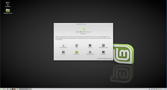 linux mint mate