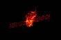 Tiangong-1 on FHR's radar