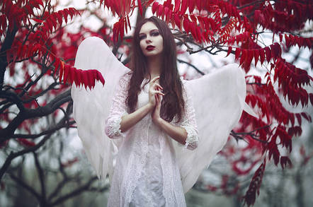 Fairy in the woods
