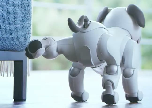 Aibo robot dog relieving itself on a chair, adorably