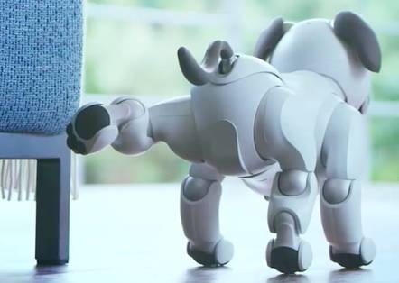 Aibo robot dog relieving itself on a chair, adorably