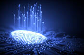 A digitized fingerprint