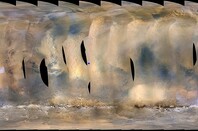 Martian Dust Storm