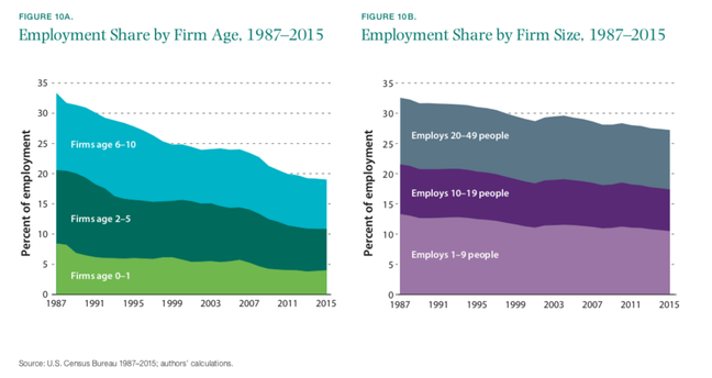 Brookings employment and firm age