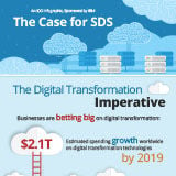 ThecaseforSDSinfographic