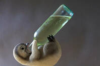 Penguin drinks a bottle of wine