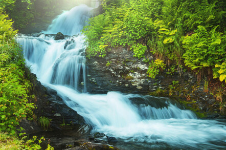 Stream waterfall in a forest