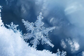 Digital composite of snowflakes and frost