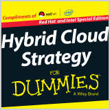 HybridCloudStrategy