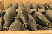 Old wine bottles gathering dust