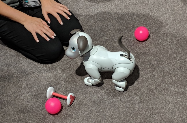 Sony Aibo 2018 model